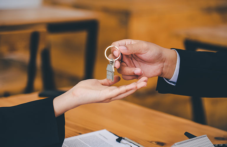 profundidad tecnica inmobiliarias bogota