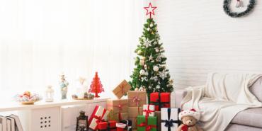 ¿Cómo elegir el árbol de navidad adecuado?