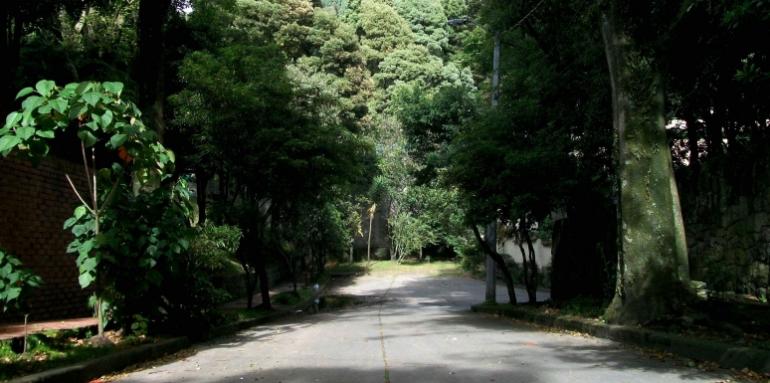 Bosque Izquierdo, el barrio rodeado por la naturaleza 