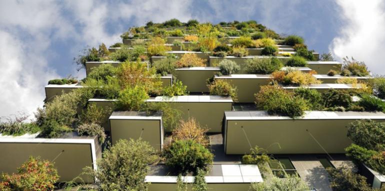 Árboles en las alturas, una arquitectura amigable con el ambiente